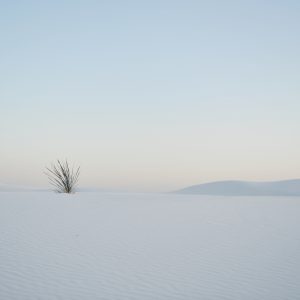 Traveling to the White Sands today
