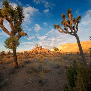 7 Best Photography Road Trips from San Diego