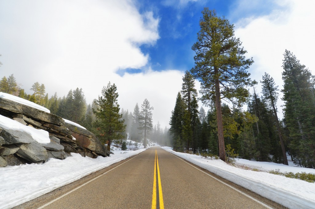 sequoia road trip