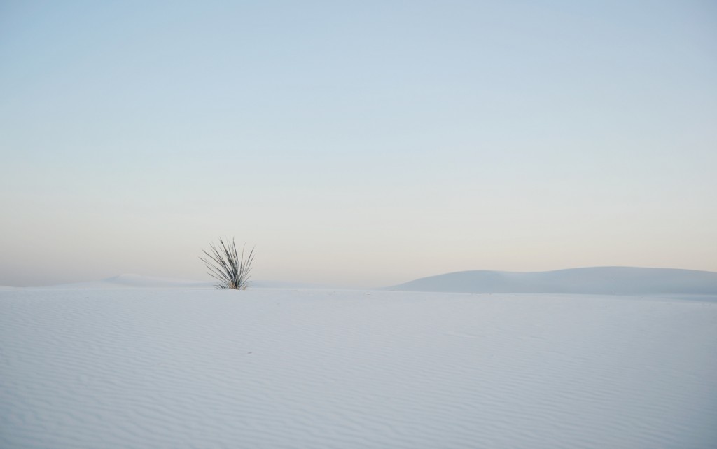 white sands2-4