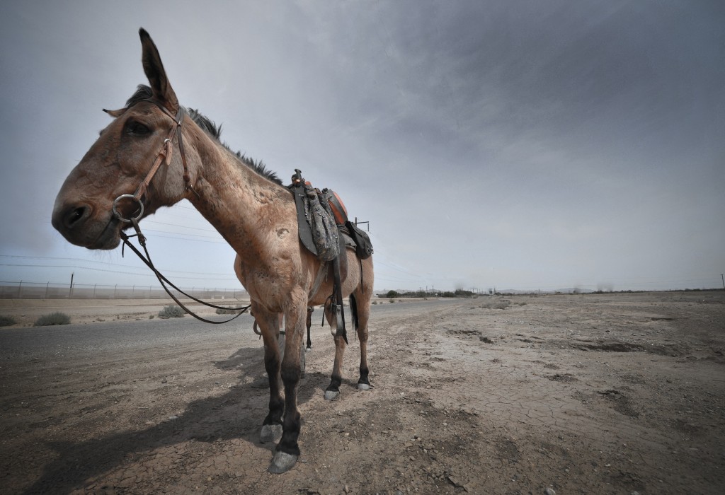 slab city  (887 of 1)