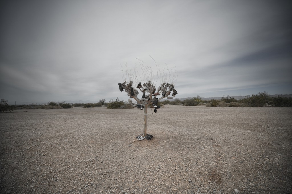 slab city  (990 of 1)