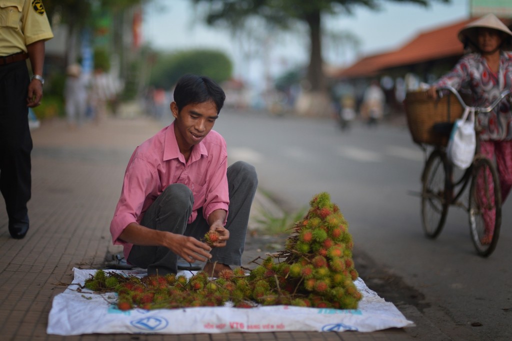 fruit copy