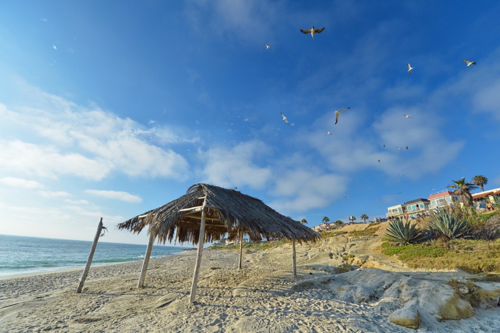 la jolla windandsea2