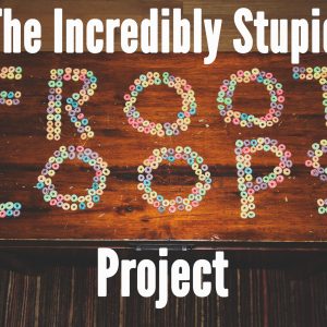 The Incredibly Stupid Froot Loop Project