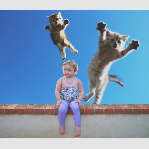 Darla and Some Flying Cats