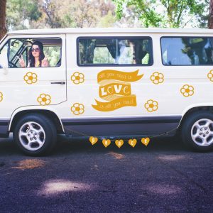 Lucy in the Van with Diamonds