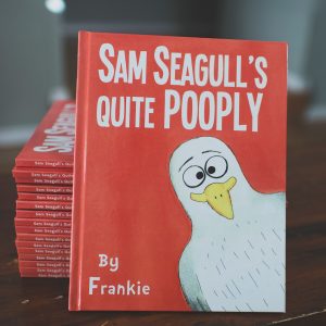 It’s a Bird.  It’s a Plane.  No! It’s Sam Seagull.